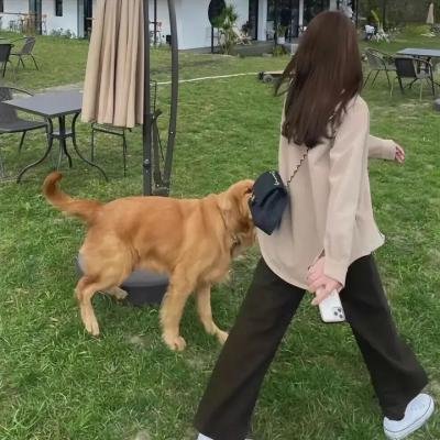 凯瑟琳大帝第三季